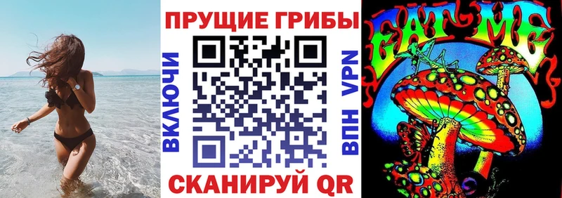 Псилоцибиновые грибы MAGIC MUSHROOMS  blacksprut ССЫЛКА  Бологое  купить  