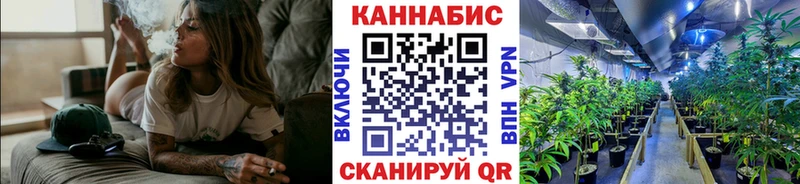купить наркоту  Бологое  Канабис THC 21% 